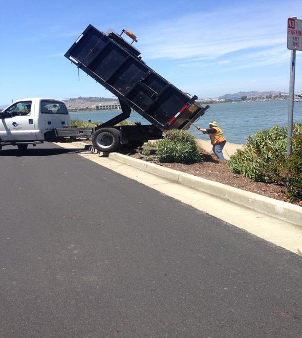 Refresh Mulch bed (Marina)